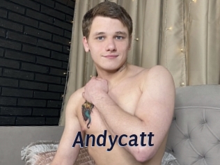 Andycatt