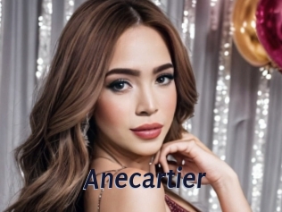 Anecartier