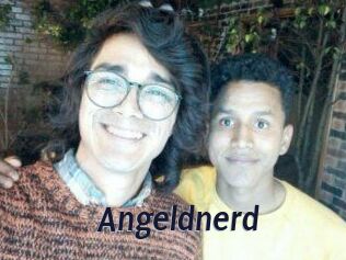 Angeldnerd