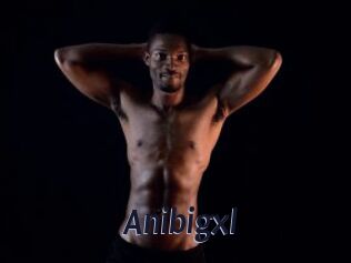 Anibigxl