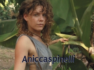 Aniccaspinelli