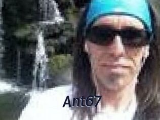 Ant67