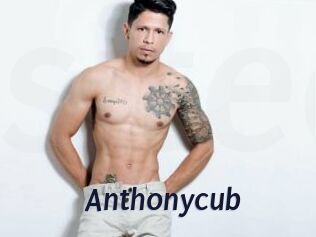 Anthonycub