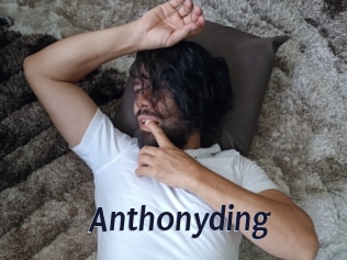 anthonyding Site Cul