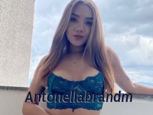 Antonellabrandm