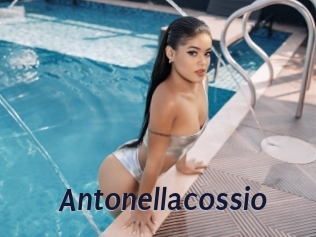 antonellacossio Site Cul