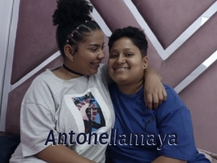 Antonellamaya