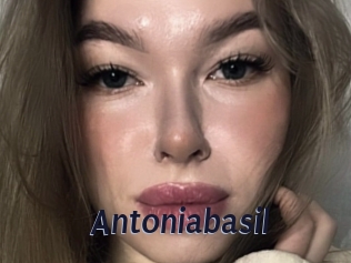 Antoniabasil