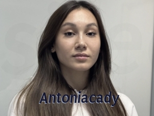 Antoniacady