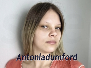 Antoniadumford