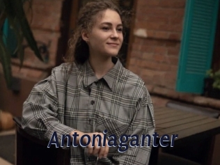 Antoniaganter