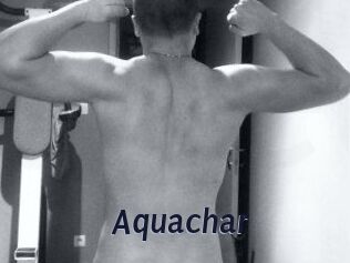 Aquachar