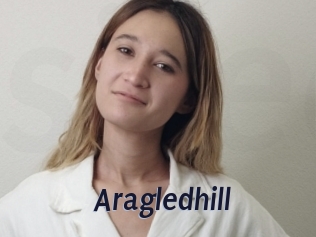 Aragledhill