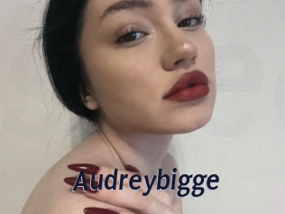 Audreybigge