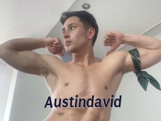 austindavid Site Cul