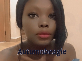 autumnbeagle Site Cul