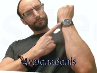 Avalonadonis