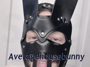 Averagehousebunny
