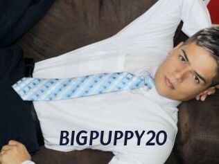 BIGPUPPY20