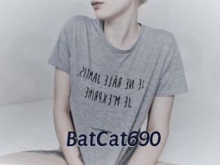 BatCat690