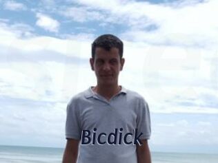 Bicdick