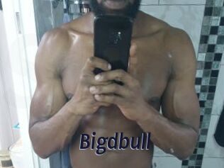 Bigdbull