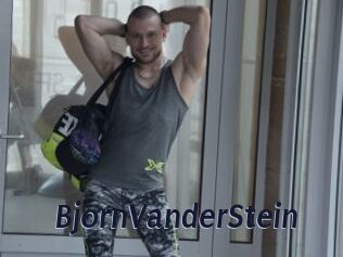 BjornVanderStein