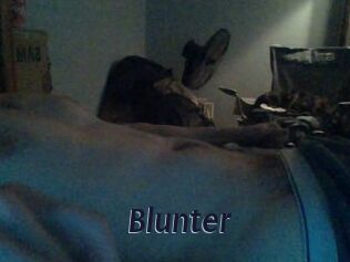 Blunter
