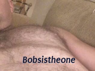 Bobsistheone