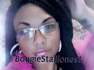 BougieStallionest