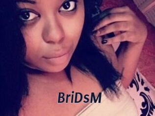 BriDsM