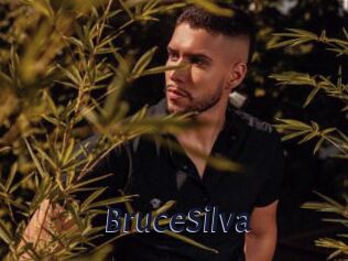 BruceSilva