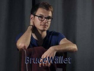 BruceWallet