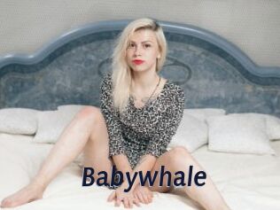 Babywhale