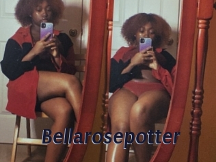 Bellarosepotter