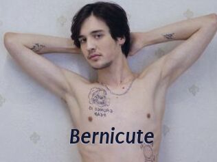 Bernicute