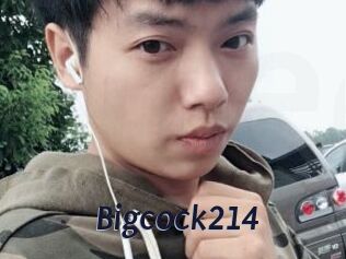 Bigcock214