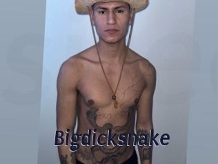 bigdicksnake Site Cul