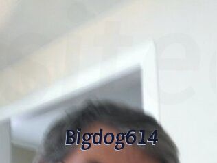 Bigdog614