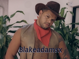 blakeadamsx Site Cul
