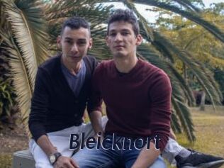 Bleicknort