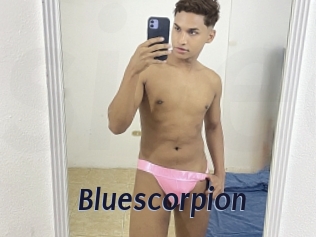 bluescorpion Site Cul