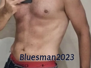 bluesman2023 Site Cul