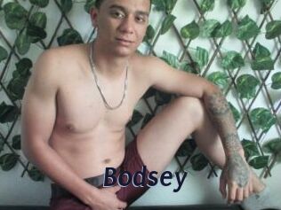 Bodsey