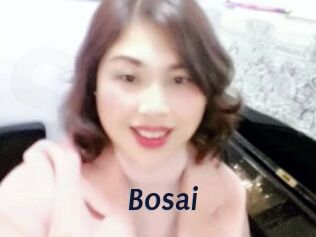 Bosai
