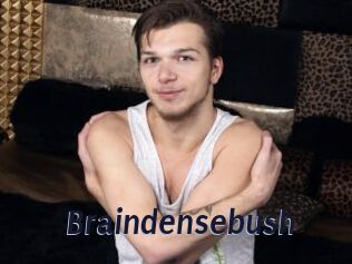 Braindensebush