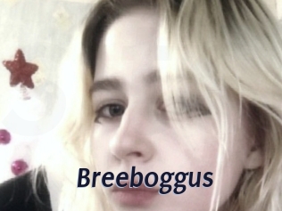 Breeboggus