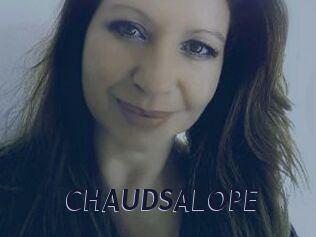 CHAUDSALOPE