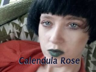 Calendula_Rose