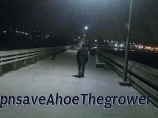 Capn_save_A_hoe_The_grower